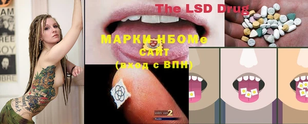 спайс Баксан