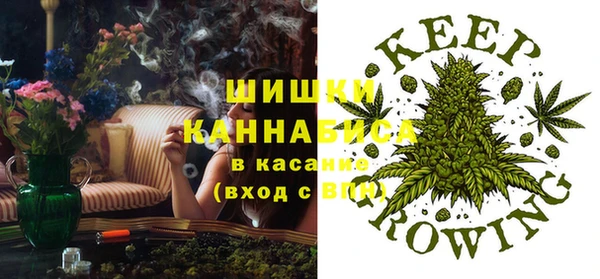 спайс Арсеньев
