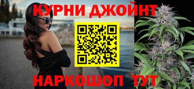 apvp Аргун