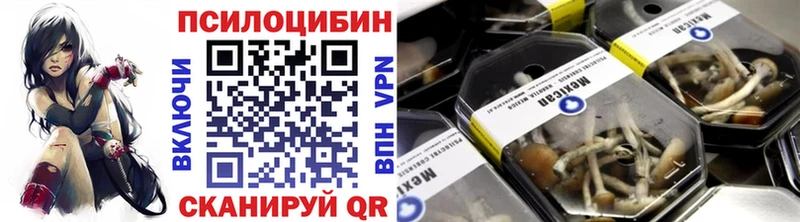 Галлюциногенные грибы Psilocybe  Ахтубинск 
