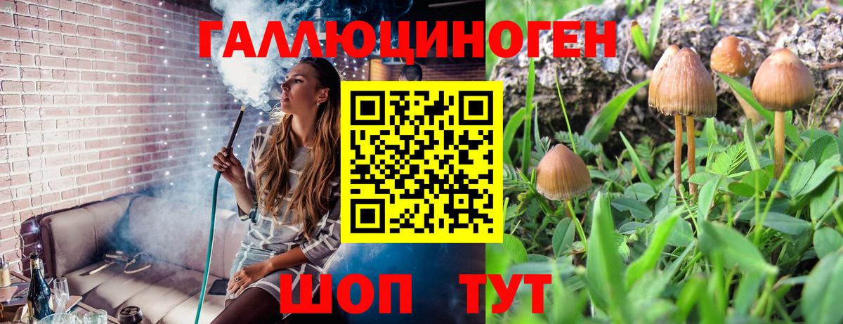 Галлюциногенные грибы GOLDEN TEACHER  Вход с VPN  Ахтубинск 
