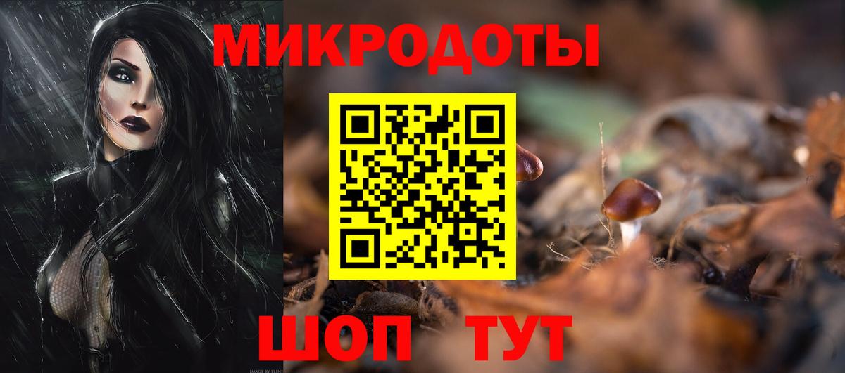 Галлюциногенные грибы Psilocybe Ахтубинск