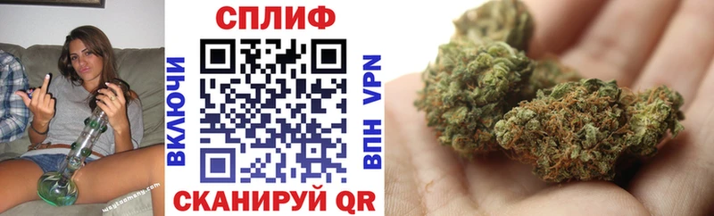 Каннабис White Widow  купить наркотики цена  Ахтубинск 
